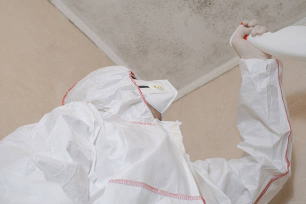 Best Crawl Space Mold Removal  in Russellville, KY